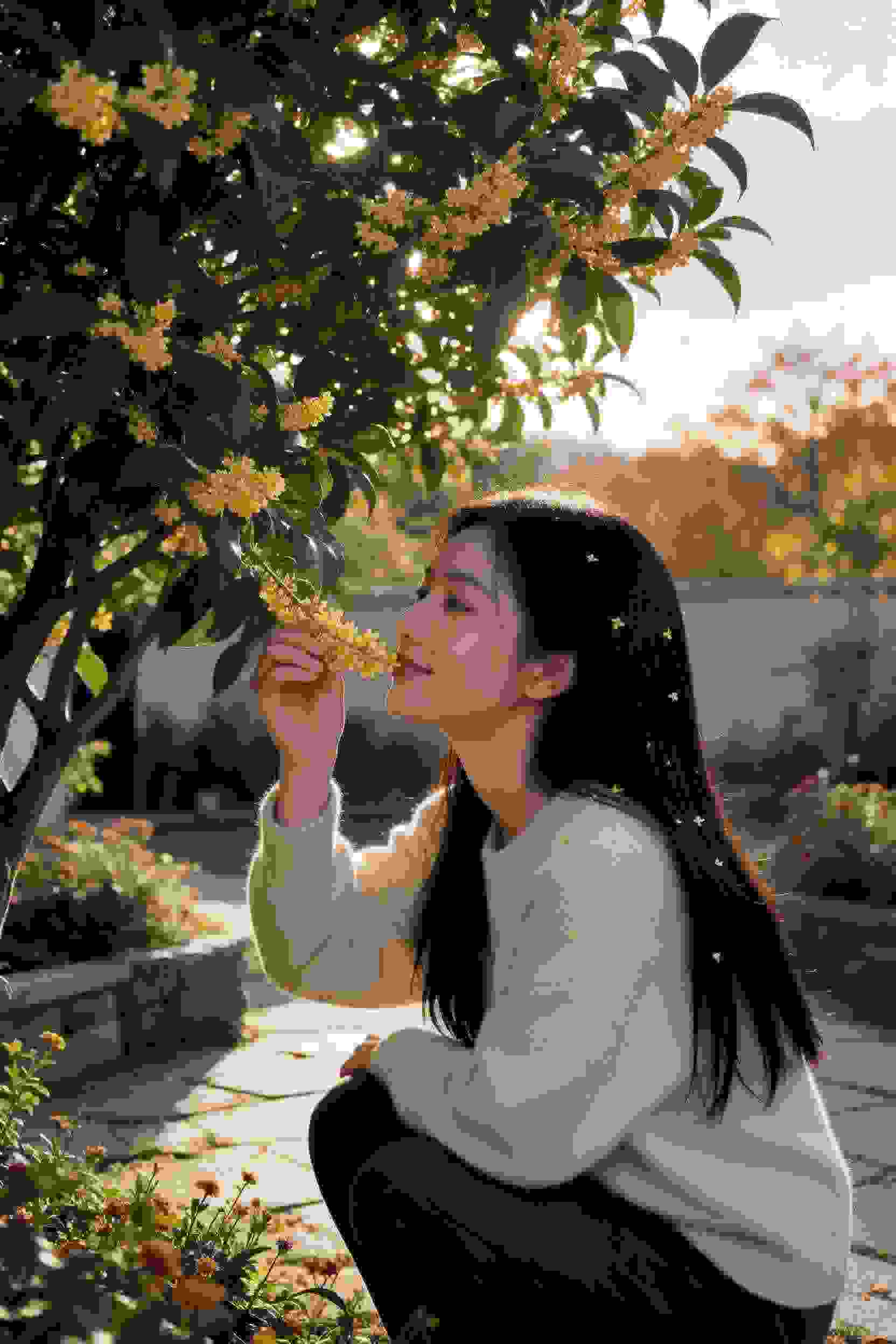 女孩的秘密